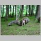 040 Montagne des Singes.jpg